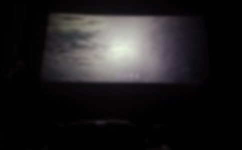 电影《公牛历险记》观后感作文