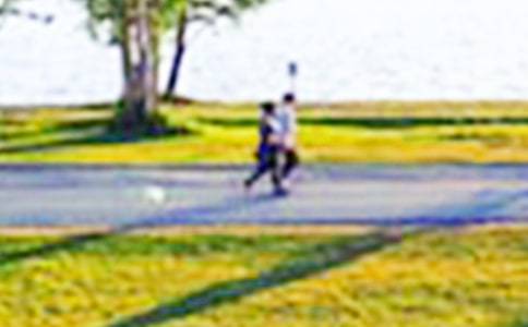 早晨的'公园二年级作文200字