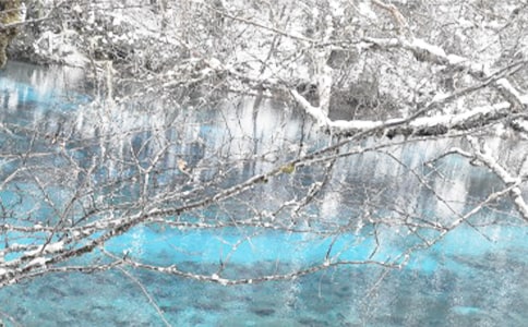 《冬季话安全》的观后感