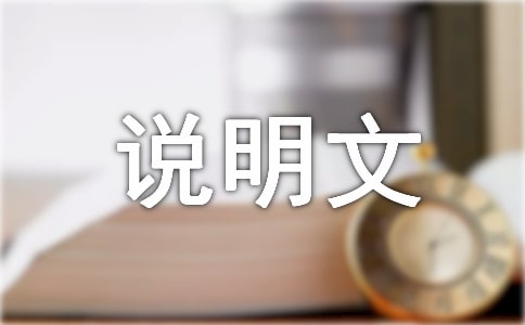 物品说明文作文3篇