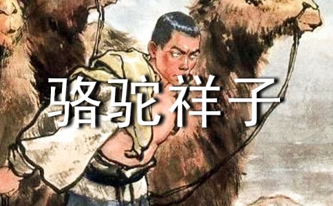 关于《骆驼祥子》的读后感300字（通用10篇）