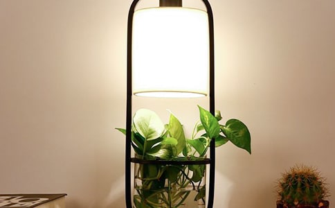 闹钟、书包和台灯小学作文800字