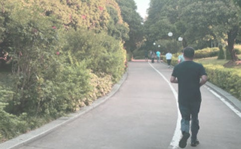 【必备】晨跑日记3篇