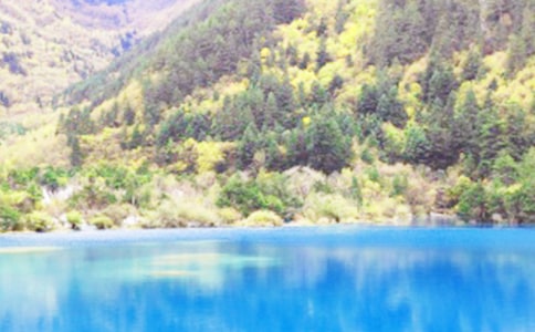 九寨沟游记作文450字精选