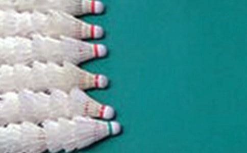 打羽毛球的小学日记300字