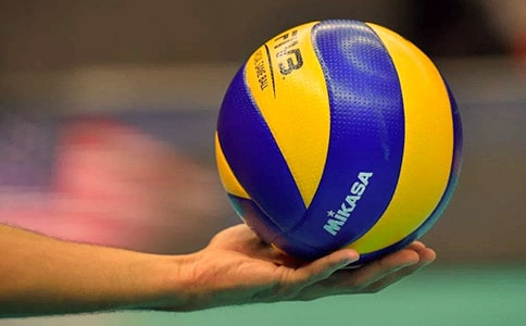 一场精彩的排球赛初一日记500字