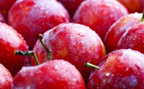 白花台,李子树心情日记