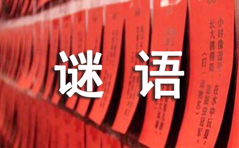 西游记人名谜语及答案