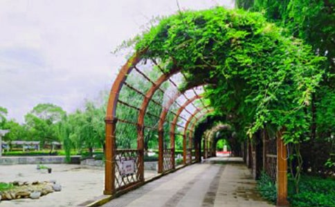 美丽的潜山公园日记