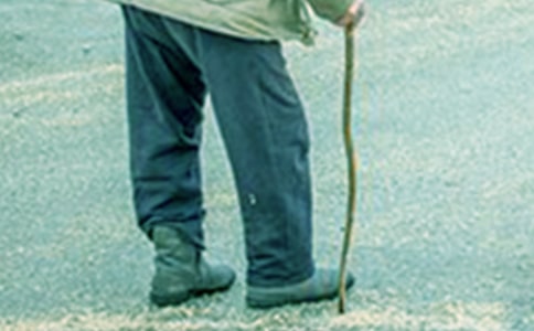 《爷爷一定有办法》读后感（通用35篇）