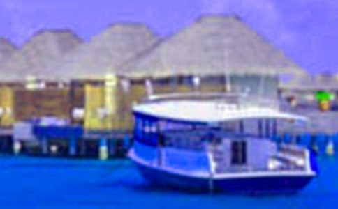 假期生活英语日记范文