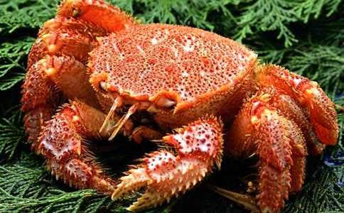 吃螃蟹的感受日记