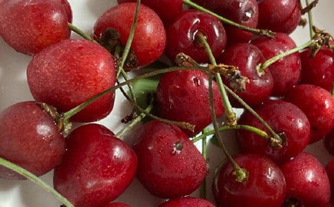 樱桃的说明文作文500字