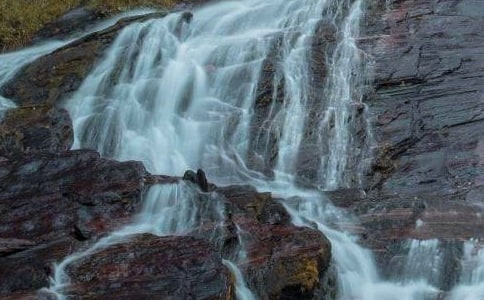 《紫藤萝瀑布》读后感范文