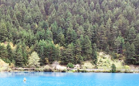 九寨沟游记作文(集合15篇)