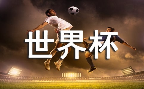 俄罗斯世界杯观后感