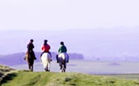 为了骑马而坚持日记