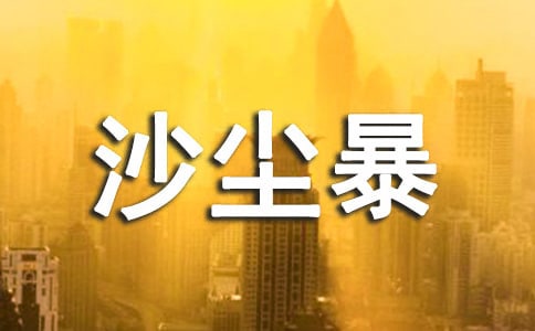 沙尘暴的旅行日记范文