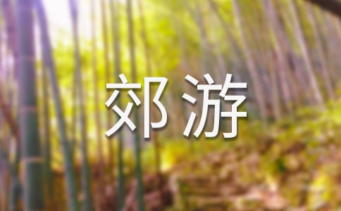 文笔山郊游日记