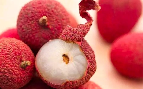 荔枝说明文怎么写