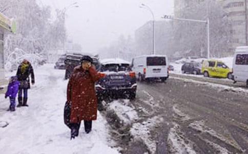 下雪了日记100字（精选10篇）