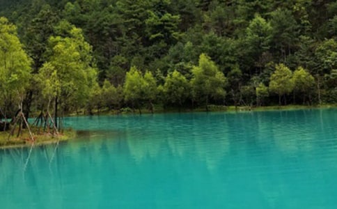 云南丽江游记作文七篇