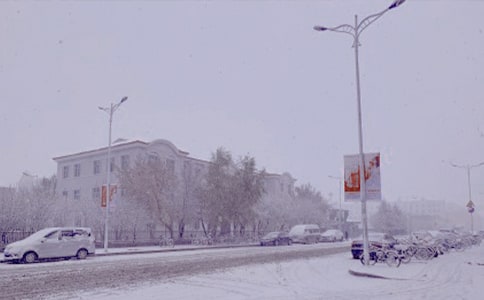 冬日的早晨的作文