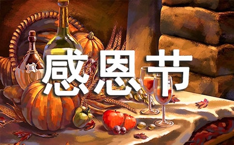感恩节的由来的英文日记范文