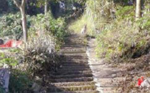 关于爬山日记4篇