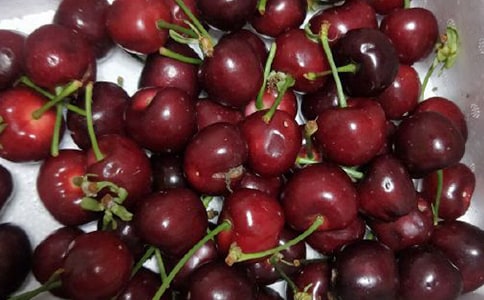 樱桃沟游记作文