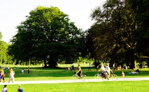 太湖湿地公园游记作文