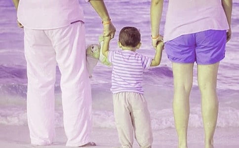 家庭教育决定人生议论文