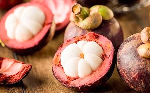 南山竹海之行游记作文