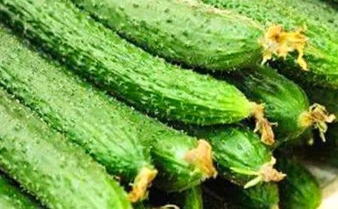 黄瓜的自述说明文