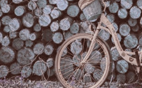 生活脚踏车的日记