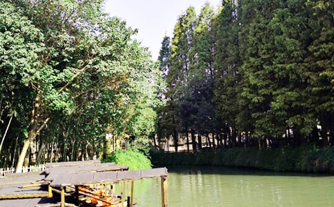 乌镇游记优秀作文