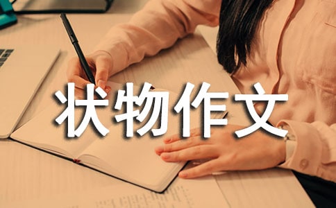 我的书包状物作文