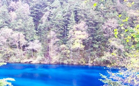 初中作文九寨沟游记