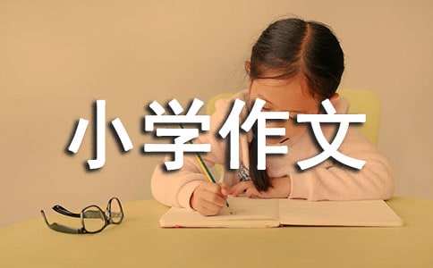 书包小学作文450字