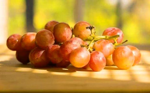 摘葡萄小学日记