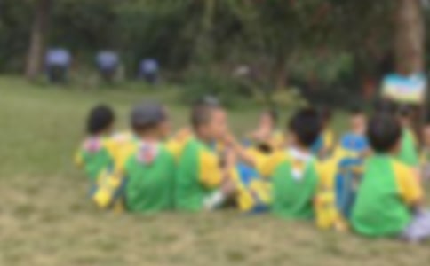 打板栗秋游日记500字