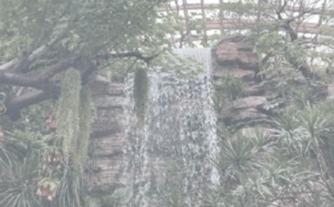 莱芜植物园游记作文