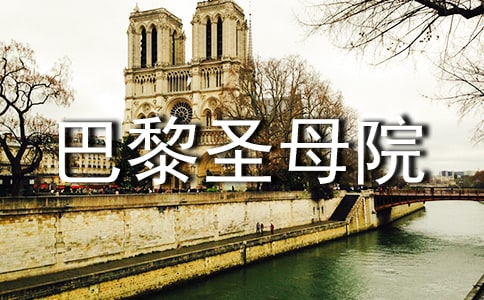 《巴黎圣母院》观后感6篇