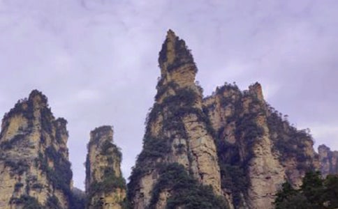 暑假见闻：张家界的游记作文