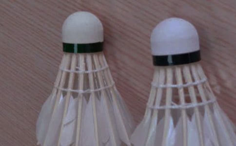 暑假的日记:晚上打羽毛球