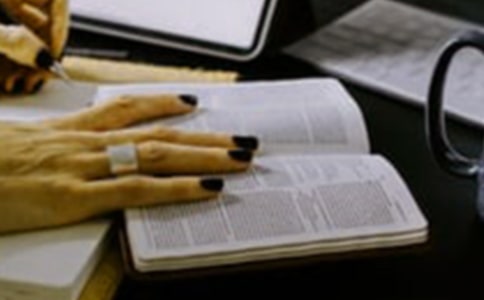 三只小猪的读后感50字（通用20篇）