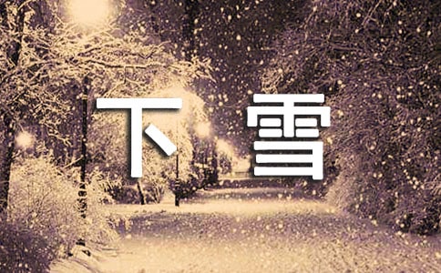五篇关于下雪了的日记