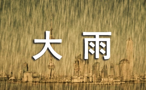 大雨日记250字（精选21篇）