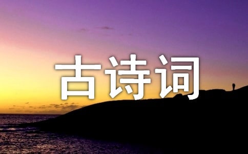 五年级作文《古诗词大赛》观后感