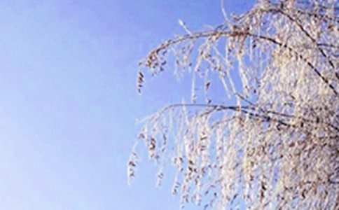 冬天的早晨作文(集锦15篇)